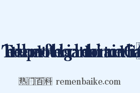 The+development+of+the+logical+method+in+ancient+China组词是什么意思的图片